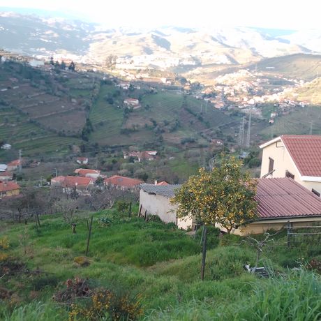 Quinhão Hereditário · Ferreiros de Avões, Lamego