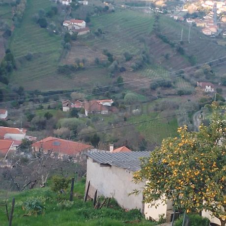 Quinhão Hereditário · Ferreiros de Avões, Lamego