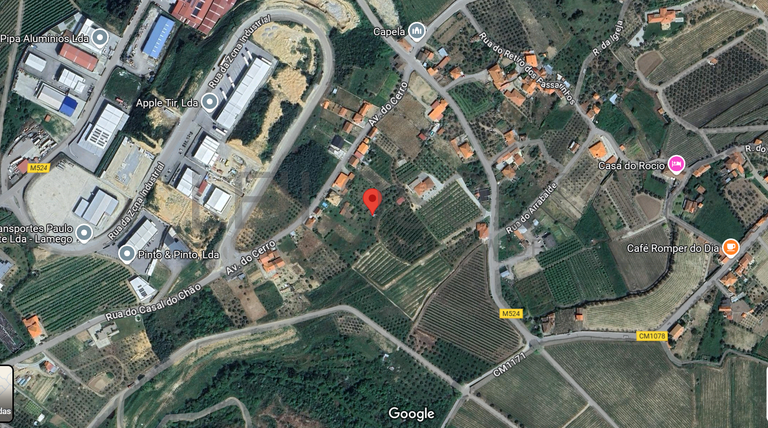 Quinhão Hereditário · Lamego e Tarouca