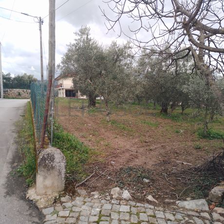 Quinhão Hereditário · Lamego e Tarouca