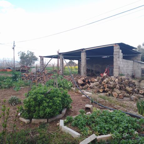 Quinhão Hereditário · Lamego e Tarouca