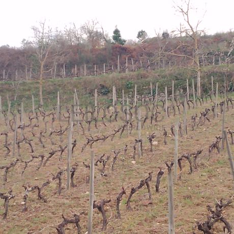 Quinhão Hereditário · Lamego e Tarouca