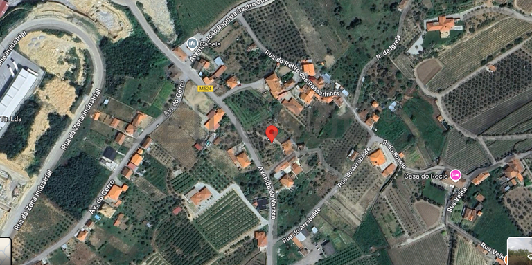 Quinhão Hereditário · Lamego e Tarouca