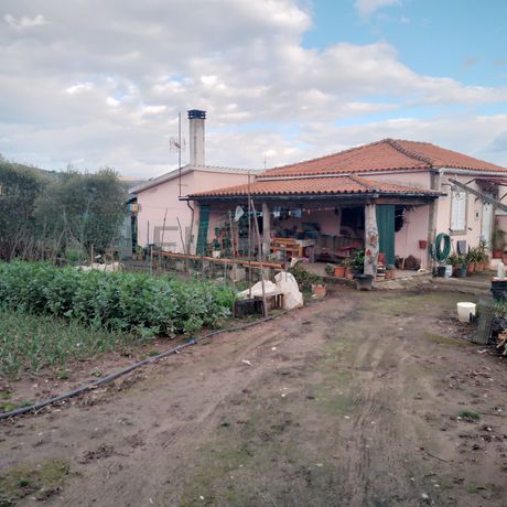 Quinhão Hereditário · Lamego e Tarouca