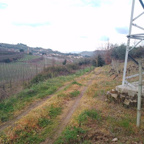 Quinhão Hereditário · Lamego e Tarouca