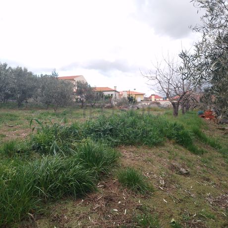 Quinhão Hereditário · Lamego e Tarouca