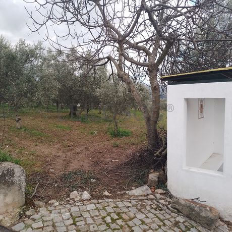 Quinhão Hereditário · Lamego e Tarouca