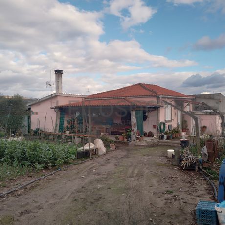 Quinhão Hereditário · Lamego e Tarouca