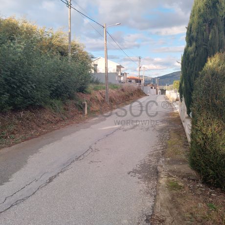Quinhão Hereditário · Lamego e Tarouca