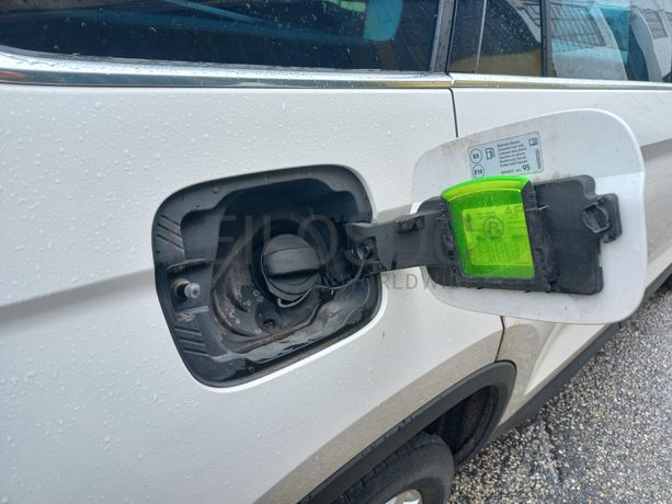 Skoda Kodiaq · Ano 2019