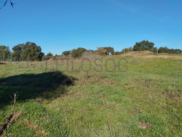 Terreno com 1,3 hectares · Garvão, Ourique