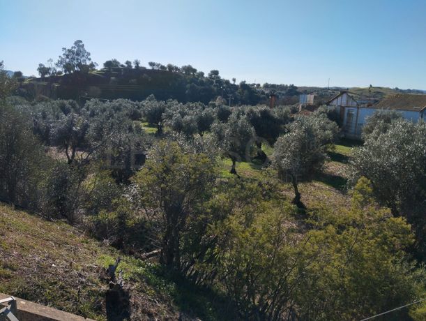 Terreno com 1,3 hectares · Garvão, Ourique
