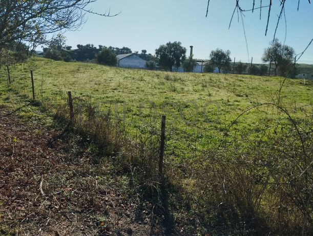 Terreno com 1,3 hectares · Garvão, Ourique