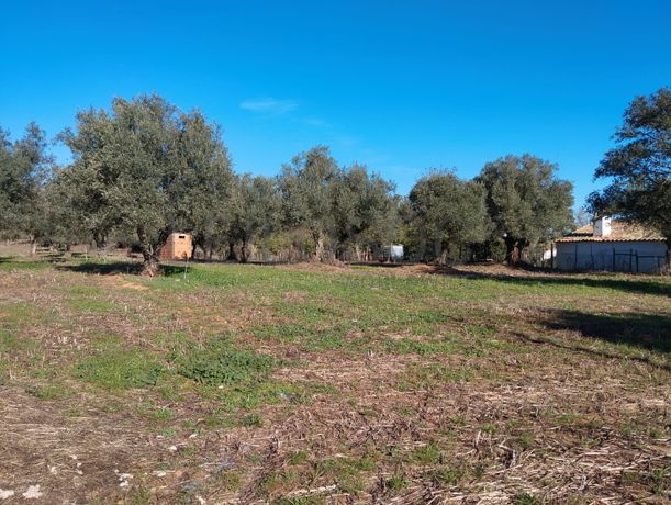 Terreno com 1,3 hectares · Garvão, Ourique