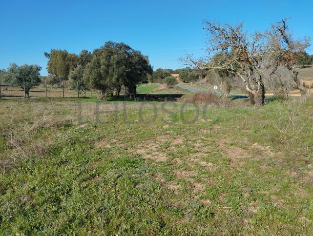 Terreno com 1,3 hectares · Garvão, Ourique