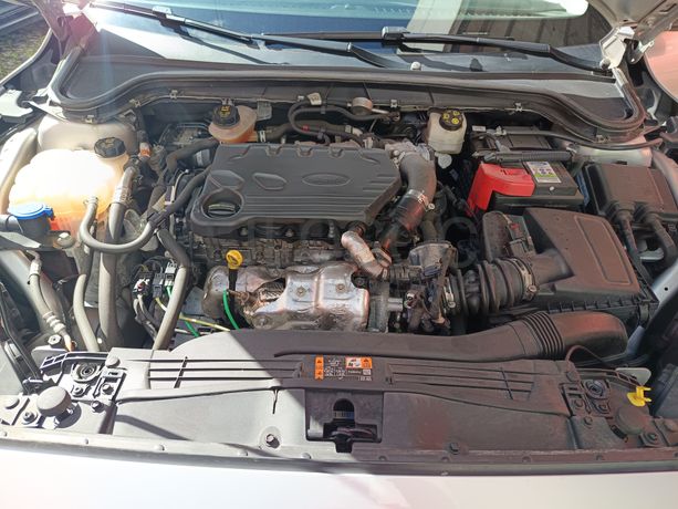 Ford Focus · Ano 2019