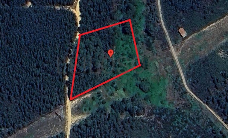 Terrenos · Silvares, Fundão