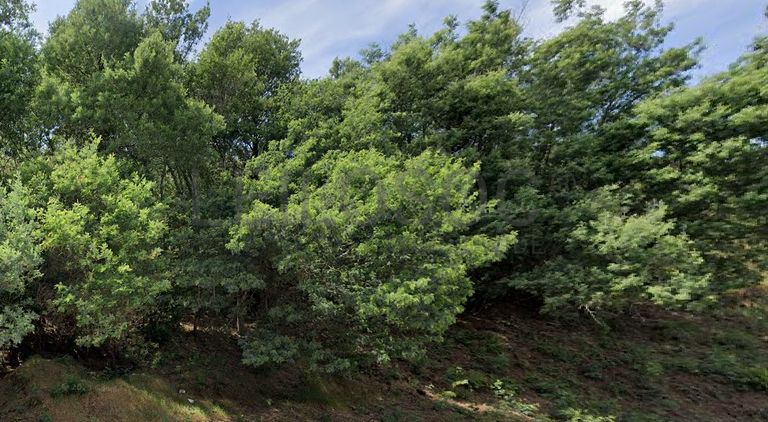 Terrenos · Silvares, Fundão