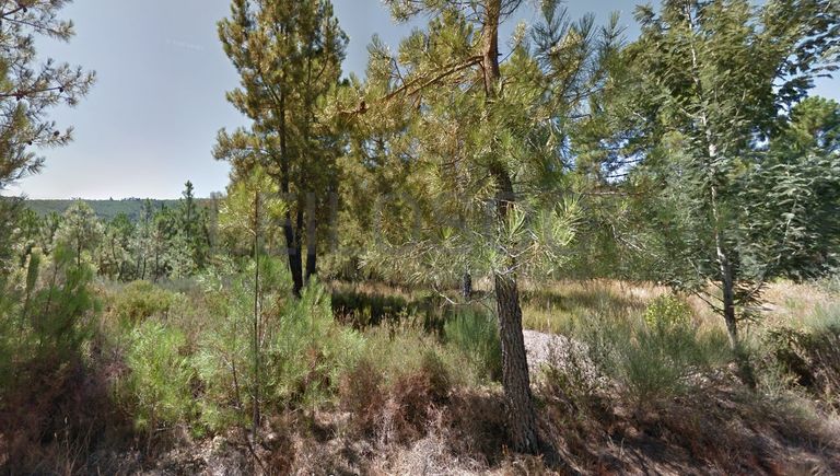 Terrenos · Silvares, Fundão