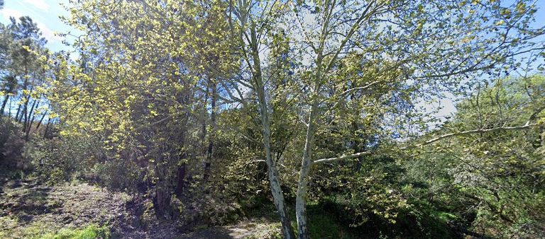 Terrenos · Silvares, Fundão