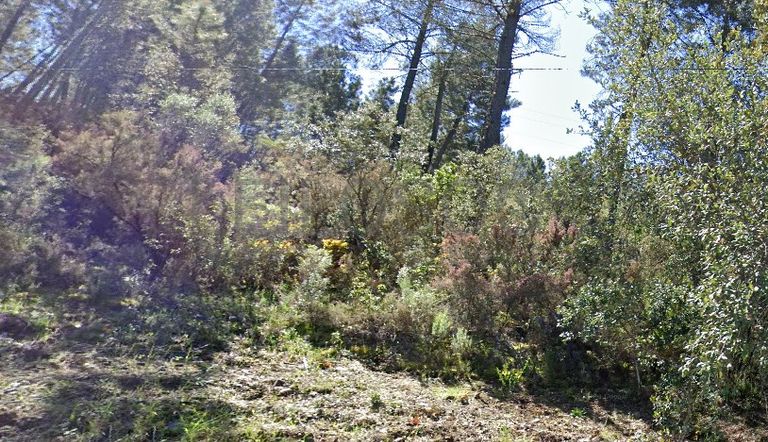 Terrenos · Silvares, Fundão