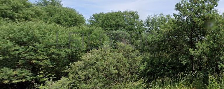 Terrenos · Silvares, Fundão