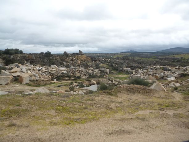 Terreno com 1,4 hectares · Figueira de Castelo Rodrigo