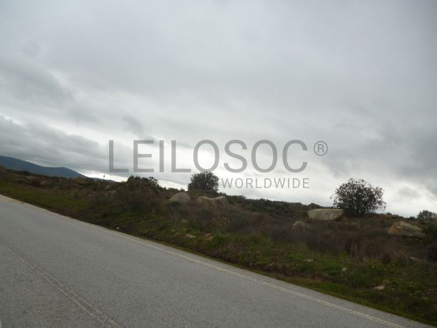 Terreno com 1,4 hectares · Figueira de Castelo Rodrigo