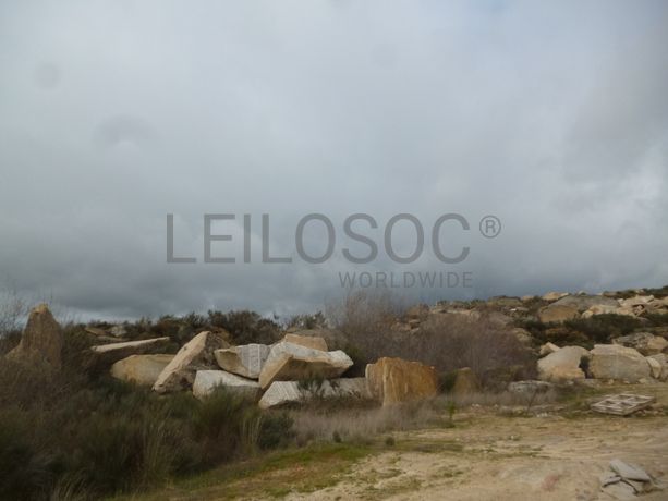 Terreno com +4 hectares · Figueira de Castelo Rodrigo