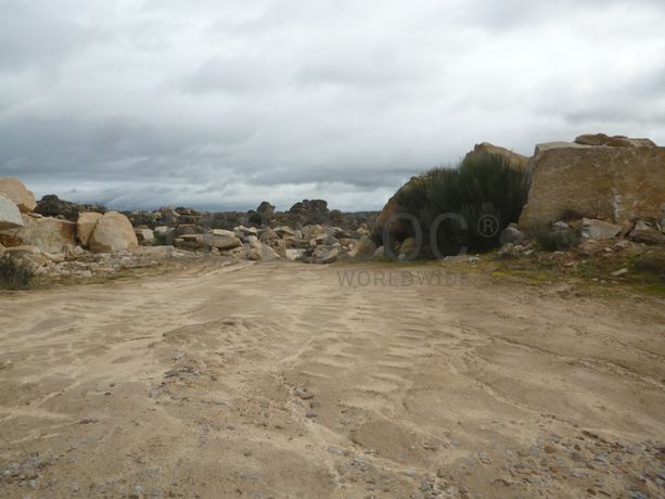 Terreno com +29 hectares · Figueira de Castelo Rodrigo
