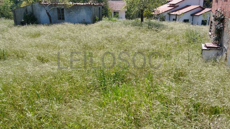 Quinhão Hereditário · Arganil