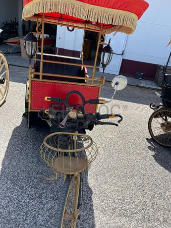 Charrete / Bicicleta