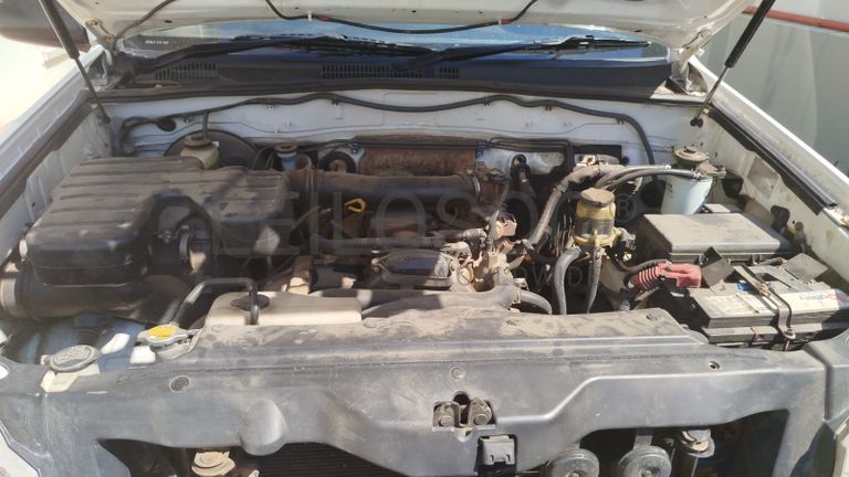 Toyota/Land Cruiser Prado 2005