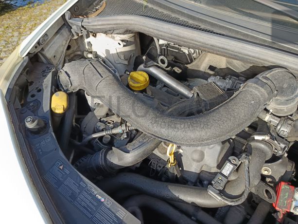 Renault Clio · Ano 2009