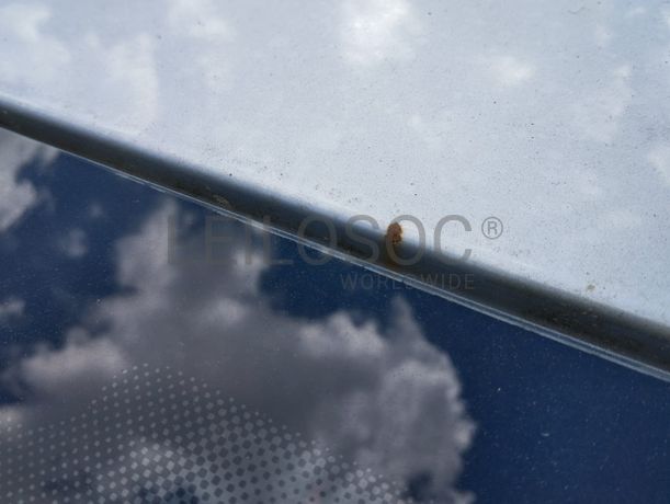 Seat Ibiza · Ano 2014