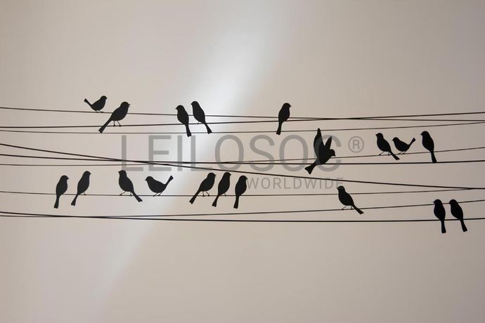 Apartamento T2 · Santa Maria Maior, Lisboa