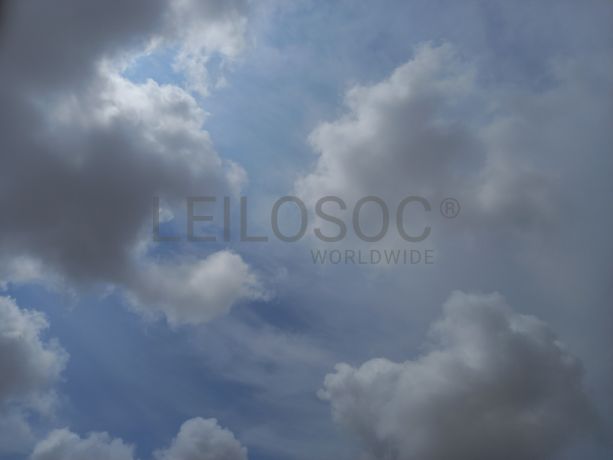 Moinho Cónico da marca TEREX, modelo Maxtrak 1000