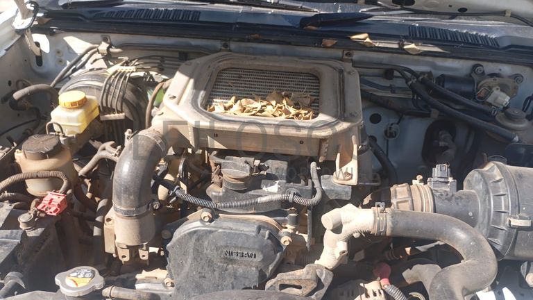 Nissan/Hardbody NPR 300 - 2017