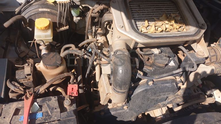 Nissan/Hardbody NPR 300 - 2017