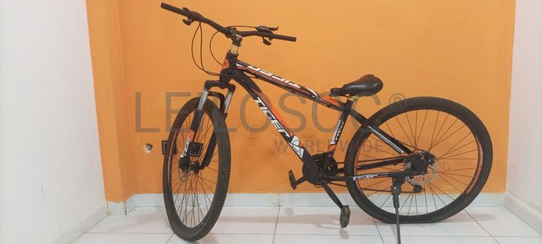 Bicicleta Lucky Tiger