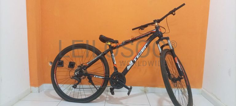 Bicicleta Lucky Tiger