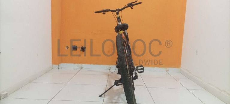 Bicicleta Lucky Tiger