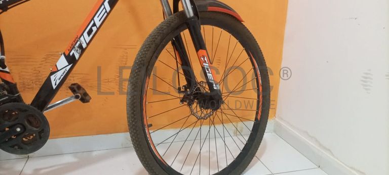 Bicicleta Lucky Tiger