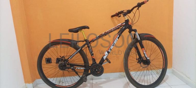 Bicicleta Lucky Tiger