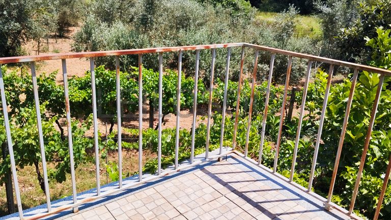 Proporção de 1/2 de Moradia V1 · Lousã