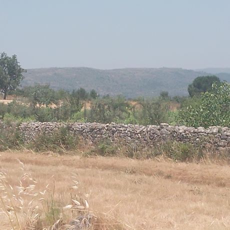 Quinhão Hereditário · Casas do Soeiro, Celorico da Beira