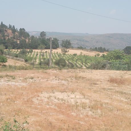 Quinhão Hereditário · Casas do Soeiro, Celorico da Beira