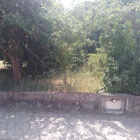 Quinhão Hereditário · Casas do Soeiro, Celorico da Beira