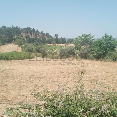 Quinhão Hereditário · Casas do Soeiro, Celorico da Beira