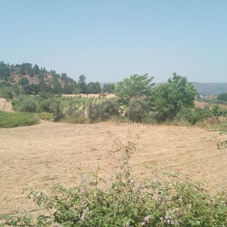 Quinhão Hereditário · Casas do Soeiro, Celorico da Beira